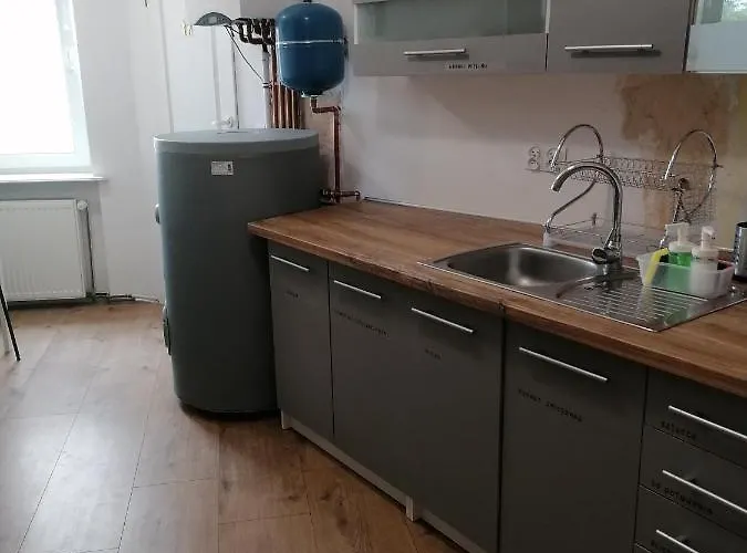 Appartement Tulip - Jednoosobowy Nr 1 Ze Wspolna Lazienka I Kuchnia