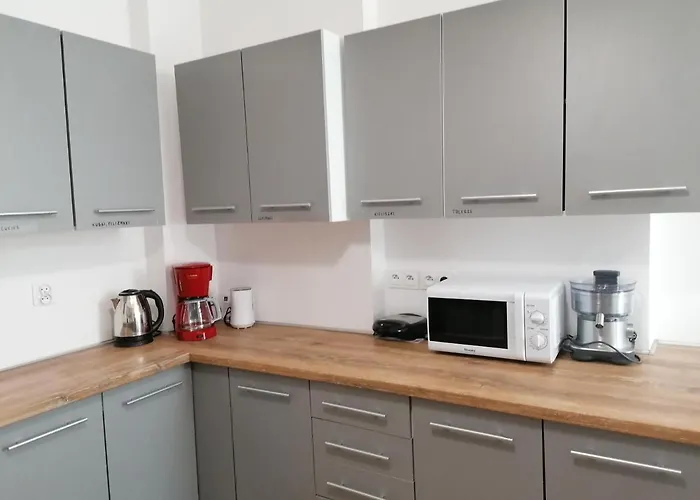 Appartement Tulip - Jednoosobowy Nr 1 Ze Wspolna Lazienka I Kuchnia